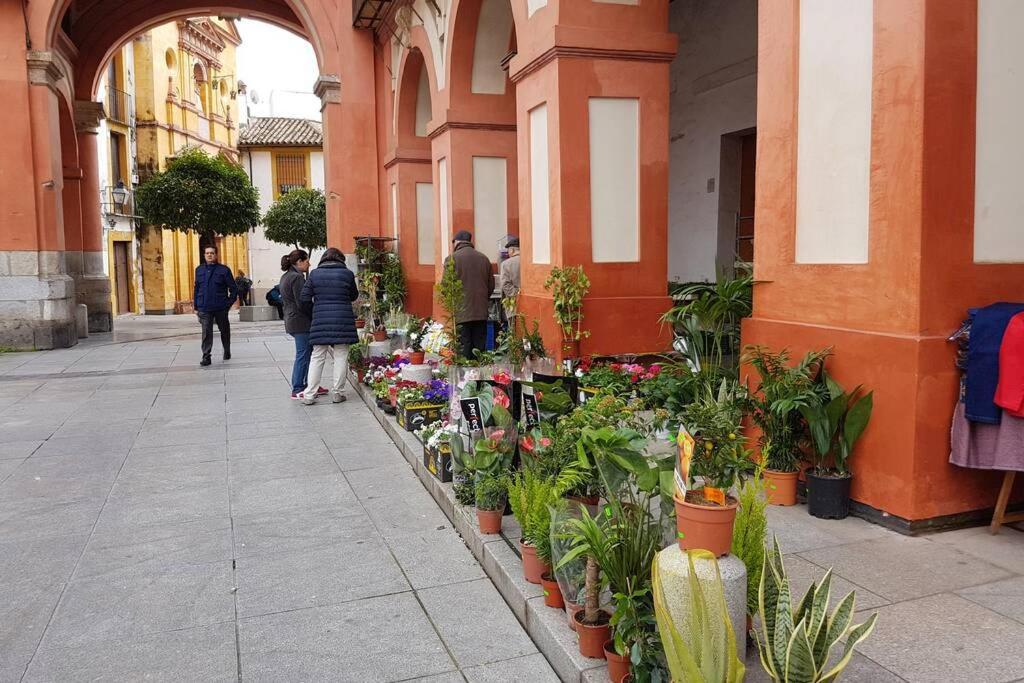 Apartamento San Pedro-Corredera 科爾多瓦 外观 照片